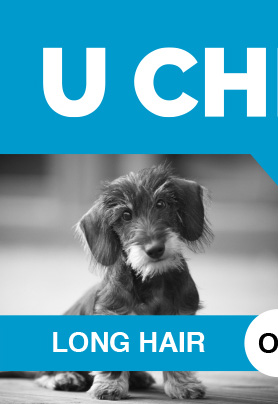 U Chews - Does your dog have long hair