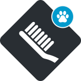 Toothbrush icon