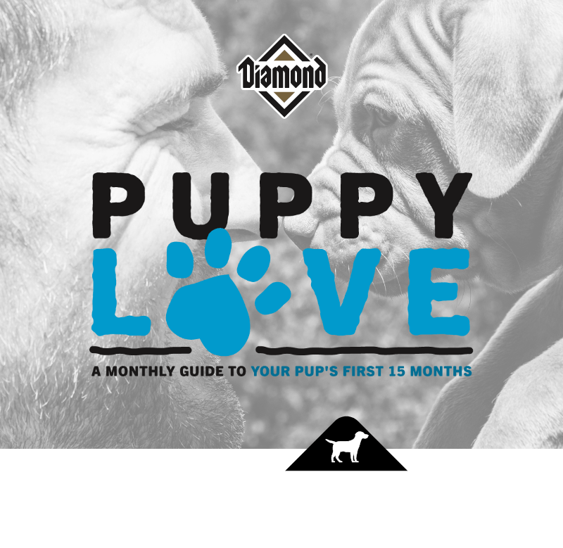 Puppy Love - A Monthly Guide to Your Pup's First Year